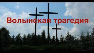 ВСЕ О ВОЛЫНСКОЙ ТРАГЕДИИ. КТО ВИНОВАТ? Лекция историка Александра Палия