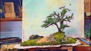 How to make a Penjing Bonsai tree - Landscape - Slab - Poett Bonsai