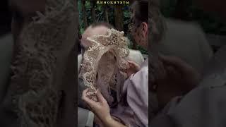 Лечить Хересом «Неоконченная пьеса для механического пианино » #shorts #shortvideo