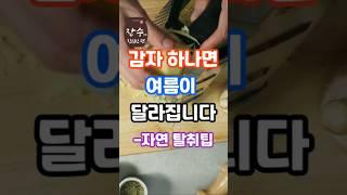 감자 하나로 여름 준비 끝  = 천연 데오드란트!!! #건강 #건강정보 #꿀팁 #음식#60代