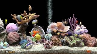  Marine Aquarium  UHD Screensaver  Black Ocean  60fps 