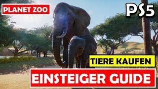 Planet Zoo | PS5  EINSTEIGER GUIDE - Tiere kaufen ! Tipps zu Kauf, Haltung + Gemeinschaftsgehege !