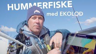 FISKA HUMMER med EKOLOD | Jonas Nordigårds visar sin metod