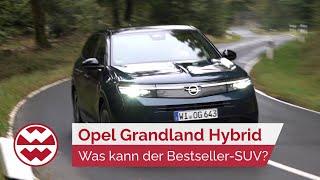 Opel Grandland Hybrid 2025: Was kann der Bestseller ab 36.400? - World in Motion | Welt der Wunder