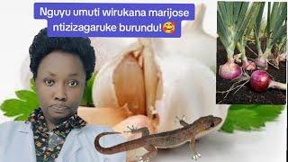 hehe no kubona marijose murugo  rwawe!! bikore uzambwira 