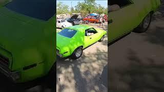 PIG RACES CAR SHOW  #carshows #pigraces #uppbeat  #automobile #carevent