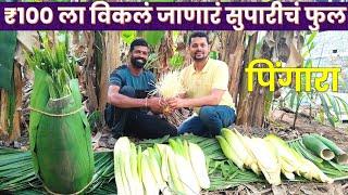 सुपारीच्या फुलांनी पालटले जीवन | पिंगाऱ्याचे फुल | वसई | Lives changed by Pingara flowers | Vasai