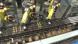 Combine Traditional Case Packer Frame with Robotic Loading - 400ml Bottles