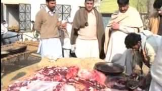 Tariq Hayat Maini Swabi wedding Program Part 1