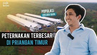 Dari Populasi 2.000 Jadi 400.000 Ekor ! Kini Omzet nya 8 MILIAR perbulan !!!