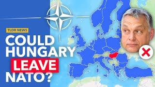 Why Orban Wants to "Redefine" Hungary's NATO Membership