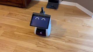 Amazon Astro Home Monitoring Robot | Set up and What Astro Can Do! HONEST Review