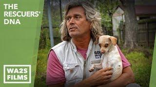 Caught On Camera!!! PETA Co-Founder Alex Pacheco Under Investigation - Hope For Dogs | My DoDo