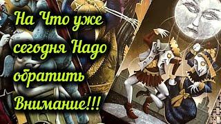 ВАЖНОНА ЧТО УЖЕ СЕГОДНЯ НУЖНО ОБРАТИТЬ СВОЕ ВНИМАНИЕ?...️ Гадание Таро