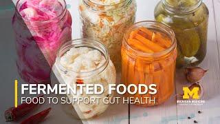 Foods to Support Gut Health Series: Fermented Foods