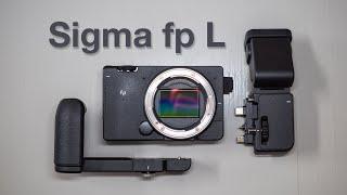 Sigma fp L –Different But Flawed