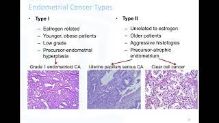 Paola Gehrig, MD, discusses endometrial cancer