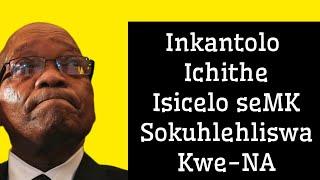 Inkantolo ichithe isicelo soMkhonto Wesizwe sokuhlehlisa ukuhlala kwe-NA ngele-IEC |New President!