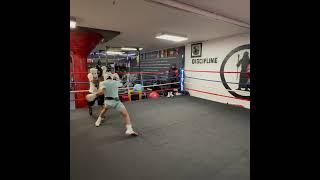 Sparring Training Clips #boxing #boxingtraining #boxingexercise #fightprep #sparring