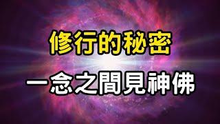 修行的秘密：一念之間見神佛！靜觀如蓮，修行中的美學之道，如何在凡塵中修煉純淨的內在美？ #開悟 #覺醒 #靈性成長