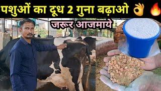 गाय भैंस का दुध बढ़ाने का जबरदस्त तरीका  best formula cow buffalo milk increase 