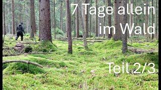 7 Tage allein im Wald | Teil 2/3