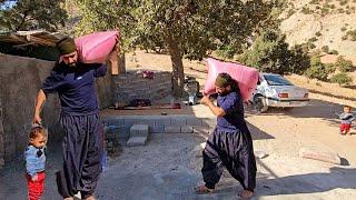 The reality of the hard and sad life of Saifullah and Arad / Nomadic lifestyle documentary