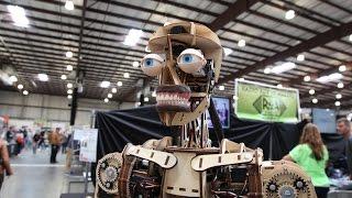 Roy The Robot (Maker Faire 2016)