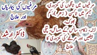 Poultry Diseases, Symptoms, Prevention and  Treatment in Pakistan | Dr.Arshad | Legs Weakness |Toxin