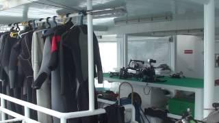 Diving in Cocos Island, Costa Rica (Wind Dancer) Part1