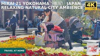 4k hdr japan travel | Walk in Minato Mirai 21 Yokohama（横浜）japan |  Relaxing Natural City ambience