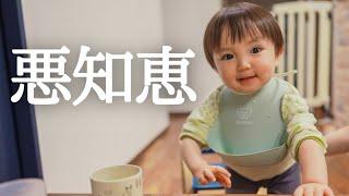 【幼児食】まんまとやられた…大根しか食べたくないイヤイヤ期１歳児がまさかの行動を！？