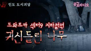 [심령스팟] 인도 드와르카 섹터9 지하철역 귀신들린 나무｜왓섭! 공포라디오