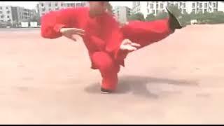 太极拳 Taijiquan Chen realizado con posturas bajas.