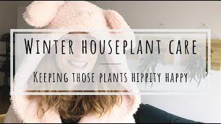 Winter houseplant care