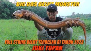 MANCING BELUT MONSTER TERBAIK JOKI TOPAN