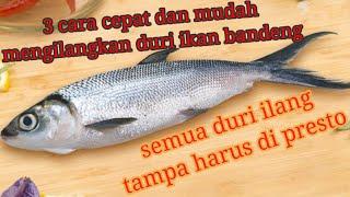 IKAN BANDENG TANPA TULANG BEGINI CARA MUDAH MEMBERSIHKANYA