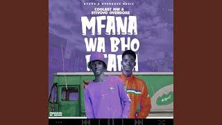 Mfana wabho (feat. Stevovo)