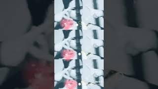 My tiktok everyday️️️(21)