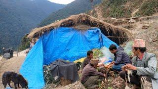 Traditional Nepali Mountain village Life Organic And Dailly village Lifestyle in Nepali people's