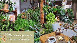 MY BEAUTIFUL POTTED GARDEN ON THE BALCONY-Organizing the plants and decorating to enhance the garden