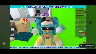 Mini from Wild Goat Talks about TV Shows and Episodes While playing MM2 on Roblox
