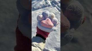 *RESULTS* Leaving My TABA SQUISHY in the SNOW for 24 HOURS! ️