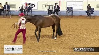 2024 AQHYA World Championship Show 14-18 Showmanship