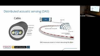 Boris Gurevich: Continuous downhole fibre-optic seismic observations
