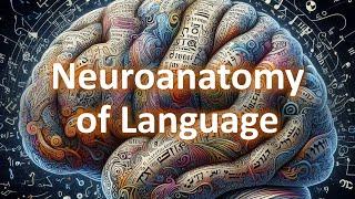 The Neuroanatomy of language (part 1): the Broca-Wernicke model of language.