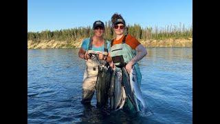 Alaska Red Salmon Harvest Kenai River 2024