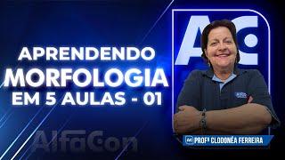 APRENDA MORFOLOGIA EM 5 AULAS - AULA 1/5 - AlfaCon