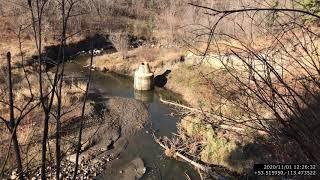 4K Video - Mill Creek Ravine, Edmonton, Alberta, Canada