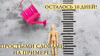 RRSP в Канаде для чайников! Верните свои налоги за 2024!